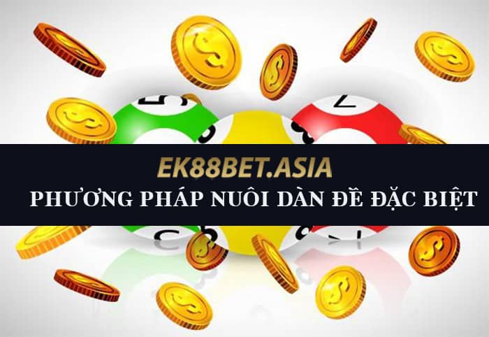 Phương pháp nuôi dàn đề đặc biệt hiệu quả